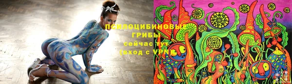 Альфа ПВП Гусь-Хрустальный