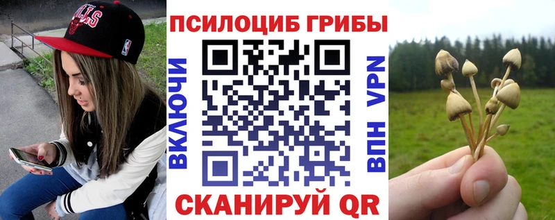 Купить где Арзамас Галлюциногенные грибы Magic Shrooms